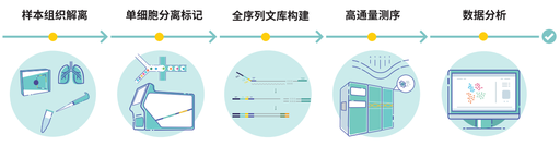 SeekOne®Single Cell Whole Sequence Transcriptome